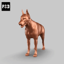 doberman pose 01 arte cão animal brinquedo estatuetas 3d print model - Mito3D