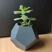 dodécaèdre Ikea cactus pot géométrique Pentagone fleur vase 3d print model - Mito3D