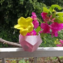 dodécaèdre pot fleur plantes 3d print model - Mito3D