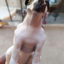 cão arte brinquedo animal 3d print model - Mito3D