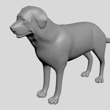perro juego 3d modelo fbx obj stl transporte Arte personaje irreal gratis persona plataforma equipado animado licuadora max cine 3d print model - Mito3D