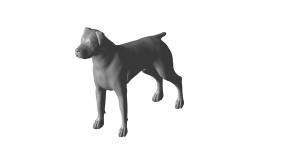 cão dog animal mar natureza 3d print model - Mito3D