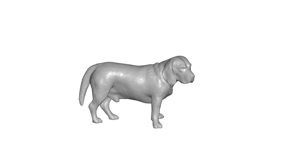 Hund 3d print model - Mito3D