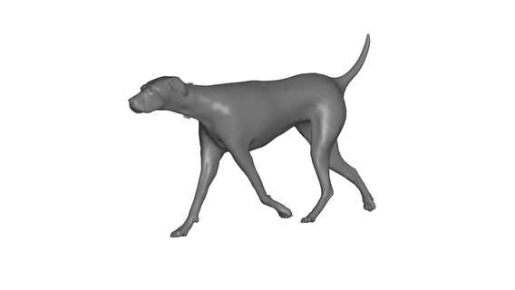 dog 3d print model - Mito3D