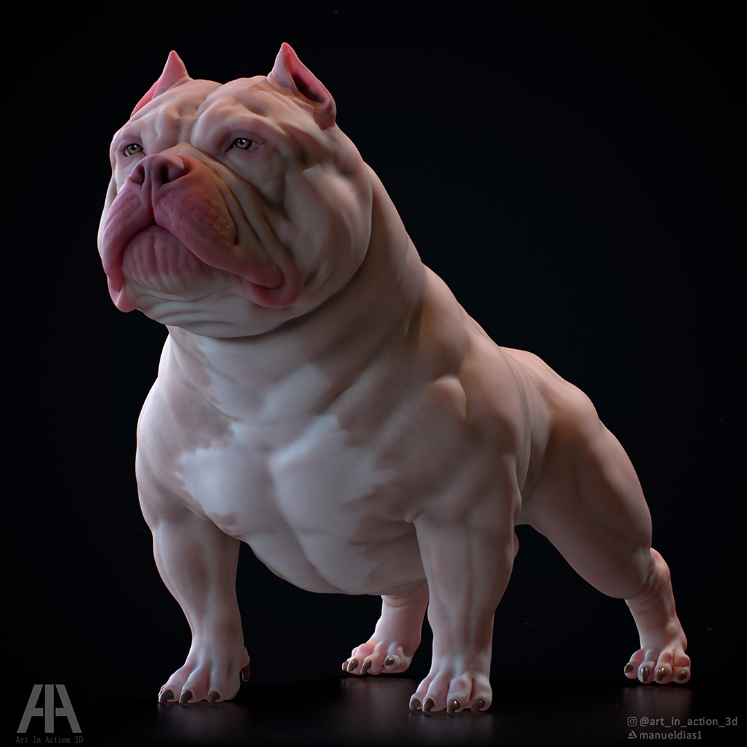 chien américain brute fosse taureau animal 3d impression 3D print model - Mito3D