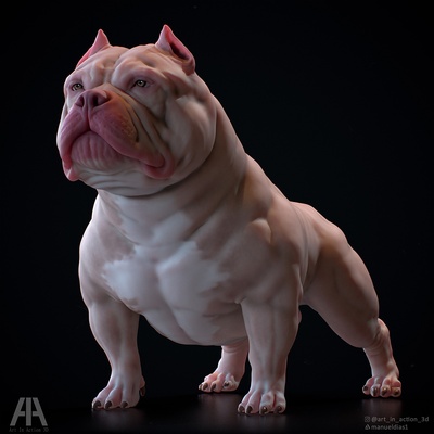 cão americano valentão cova touro animal 3d impressão 3d print model - Mito3D