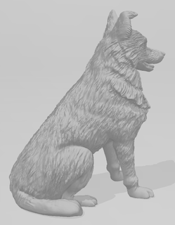 dog briciola 3d print model - Mito3D