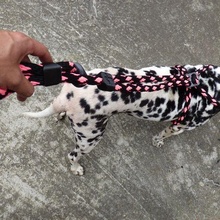 perro collar animales perros collares enlace caninos mascotas 3d print model - Mito3D