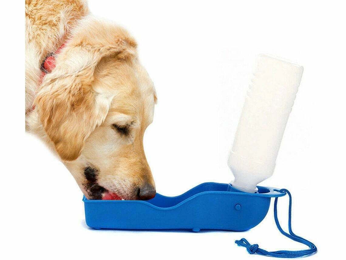cão bebendo fonte brinquedo animal 3D print model - Mito3D