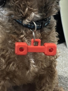 chien marque hochets côtés personnalisable fusion 360 plaque d'identification jouet hochet animaux domestiques Accueil maison 3d print model - Mito3D
