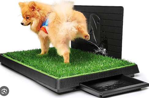 dog toilet pissing place dogs shithouse escrementos needs urinate animals cat house grass poop shit vater wc 3d print model - Mito3D
