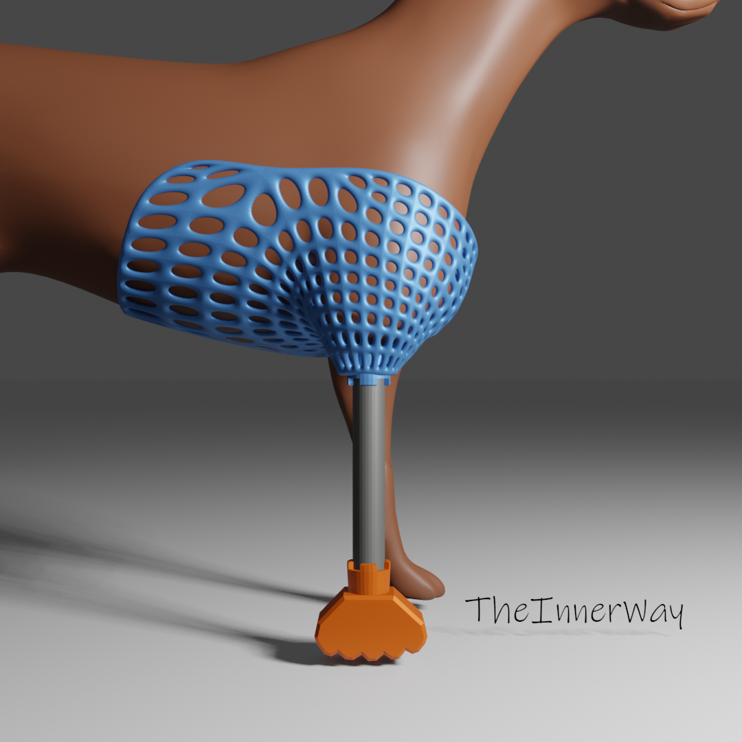 cão caminhando prótese perna pé 3D print model - Mito3D
