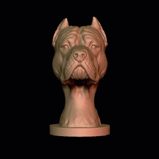 dogo argentino argentine bust pitbull exotic bully animal toys art toy sculpture dogs dog sculture american 3d print model - Mito3D