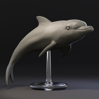 dolphin fish animal sea wild wildlife realistic sculpture 3d print model - Mito3D