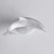 dolphin Spiel 3d print model - Mito3D