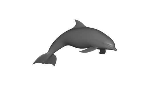 delfín 3d print model - Mito3D