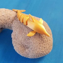 Delphin kiel Spiel artikuliert dolphin flexibel printinplace - Spielzeug 3d print model - Mito3D
