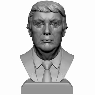 Donald John koz büst Sanat Devlet Başkanı minyatür politikacı Birleşik eyaletler siyaset seçim demokratlar cumhuriyetçiler heykelcik heykel 3d print model - Mito3D