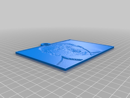Donald koz özelleştirilmiş 2d Sanat Litofanlar 3d print model - Mito3D