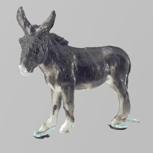 asino azienda agricola animale pony 3d print model - Mito3D