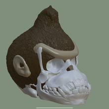 Burro Kong cráneo juego dk 3d print model - Mito3D