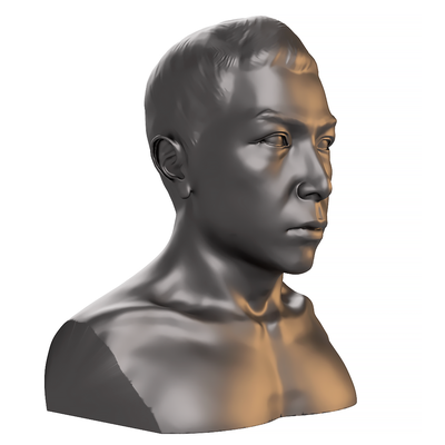 donnie yen bust ipman face realistic character 3d print model - Mito3D