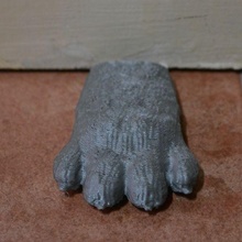 door cat paw animal 3d print model - Mito3D
