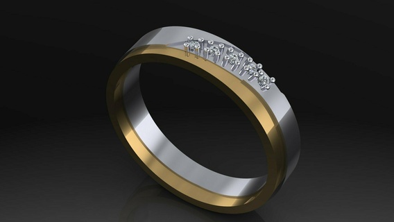 double rail ring jewelry material gold silver industrial design conceptual wealth 3d print model - Mito3D