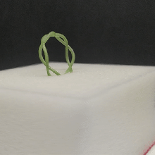 Duplo corda anel 3d print model - Mito3D