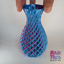 double twist vase no 5 mode spiral flowers coextrusion duel color 3d print model - Mito3D
