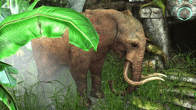 baixar elefante 3d modelo animado blender fbx unity maya unreal c4d 3ds max impressão Tag lodo texturas rdam madri Chile Argentina african elephant model character categorias 3d print model - Mito3D