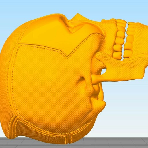 dp skull 3D print model - Mito3D