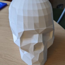 dr beyin kırıcı kafatası şapka 3d print model - Mito3D