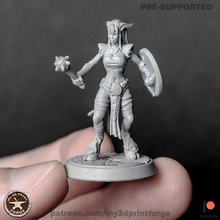 draenei female shaman shield art beauty warcraft wow fantasy dnd miniature resin pre-supported tabletop dungeon figurine stl sexy woman girl 3d print model - Mito3D