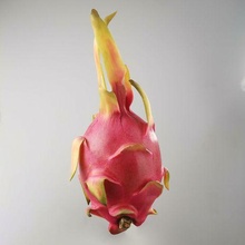 dragon fruit-pitaya generated revopoint pop art 3d scan dragonfruit fruit pitaya scans replicas 3d print model - Mito3D