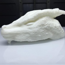 testa di drago cabea um vari creatura 3d print model - Mito3D
