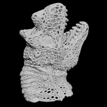 der Kopf des Drachen voronoi Kunst voronoy halloween statue Skulptur sculpt Figur Kreatur Charakter die Büste fantasy dragon drucken 3d 3d print model - Mito3D