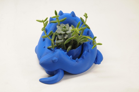 Drachen Pflanzer Zuhause Haus Tier niedlich Neu Schlange Dinosaurier Dungeons Skulptur 3d print model - Mito3D