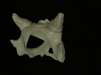 dragon skull mask helmet muzzle dog thing bone pokemon remaster fan art home decoration 3d print model - Mito3D