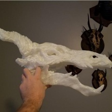 dragon skull supersized print art cut huge taxidermy wall mount 3d print model - Mito3D