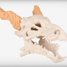 dragon skull art 3d print model - Mito3D