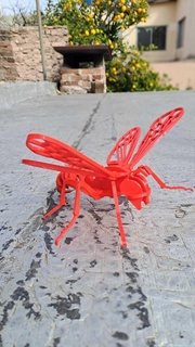 libellula assemblare puzzle assemblaggio giocattolo bambini ragazzo bambino animale natura 3d print model - Mito3D