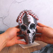 pavor cráneo apoyo modelos 3d print model - Mito3D