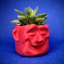 el sueño de la olla varios decoración art flores jardín verde plantas casa 3d print model - Mito3D