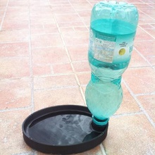 Wassertrog der Tiere home pet Kunststoff-Flasche Wasser Haustiere 3d print model - Mito3D