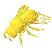 drone apis mellifera various science anatomy instructional didactic environmental education etiquette honey animal insect bee loafer male 3d print model - Mito3D