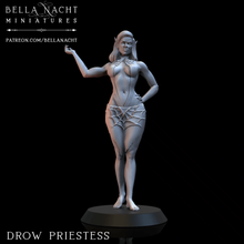 drow priestess - 2 versions underdark priest matriarch forgotten realms dnd tabletop sassy pinup sexy spider queen lolth 3d print model - Mito3D
