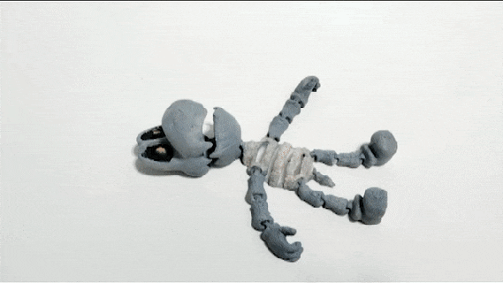 seco ossos super mario Bross luigi Nintendo jogos game Boy avançar ds Japão flexi impressão colocar 3d print model - Mito3D