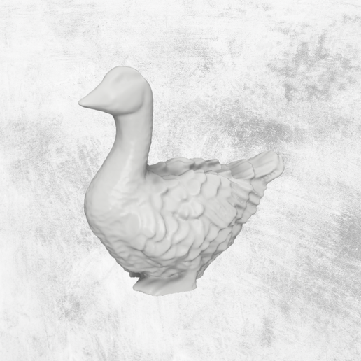 canard 3d 3D print model - Mito3D