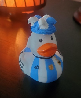 duck fans duckling ducky soccer messi qatar animal toy ave fantatico di maria ronaldo dibu neymar maradona funko 3d print model - Mito3D